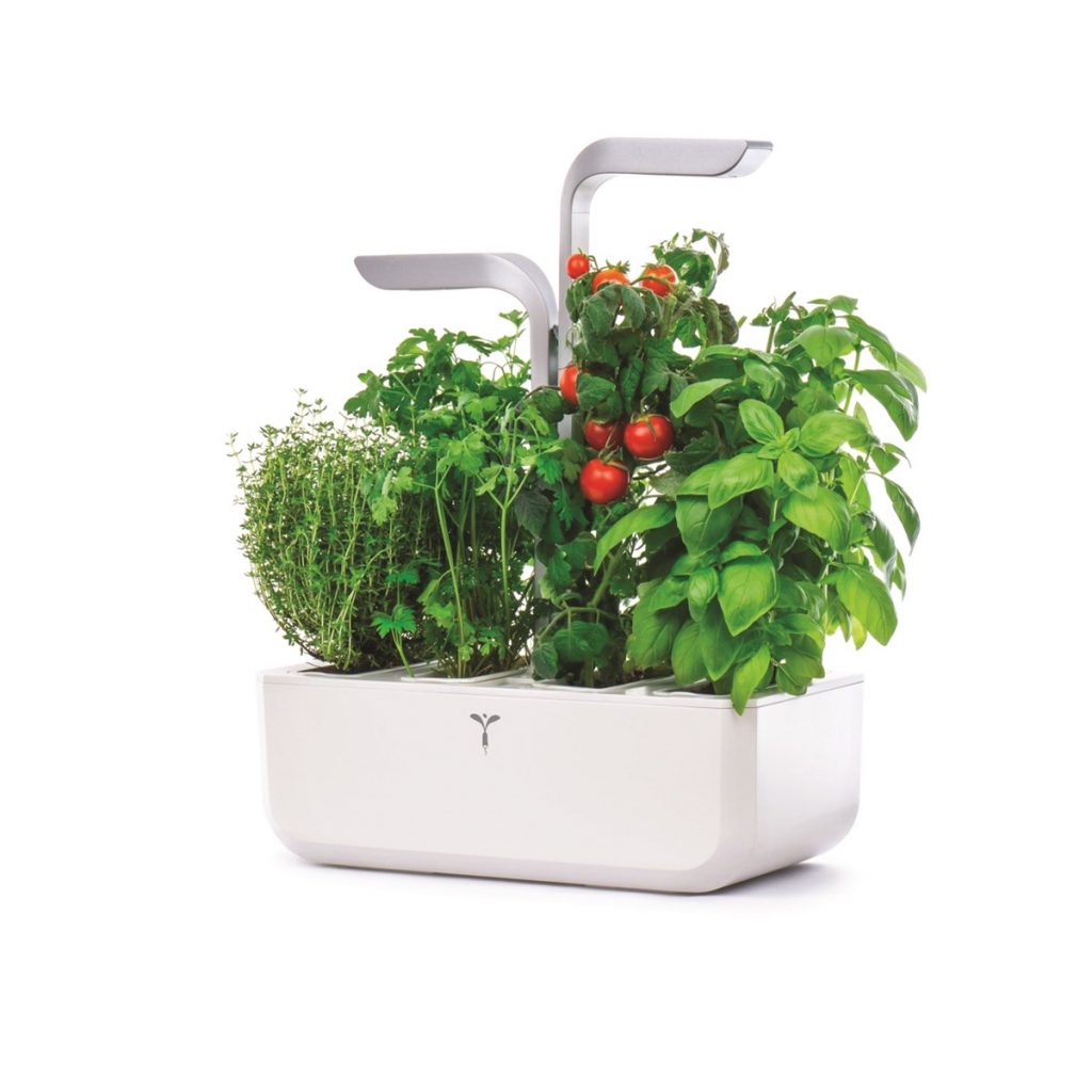 Quoi de mieux que de faire pousser ses plantes soi-même. Avec un potager d'intérieur cultiver depuis votre cuisine, des plantes, aromates et bien d'autres !